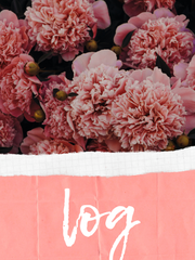 log