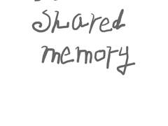 The Shared Memory