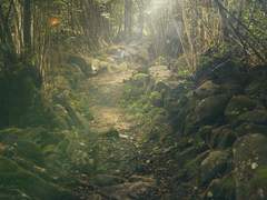 19. 스파르타 전사와 노예