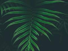 은 설화 / 27 / 공개 프로필