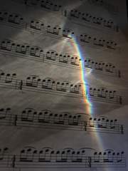 자율성 음의 임의 연주