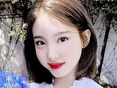 보정값줘체리 애스크 팔로워 300 명 기념 보정 PSD 나눔