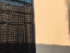 Marriage and Divorce