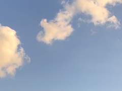 당신이 나를 사랑해?