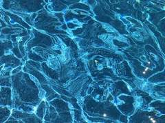 To. 테티스 N. 에피오네.