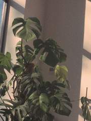 유태원 이계조사 TRPG