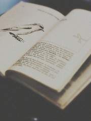 허공의 오아시스