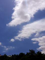 우당탕탕 고삼일기