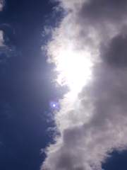 진지 섞인 문장