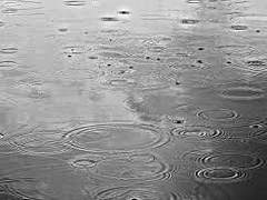 [2019.10 ~ 2020.05] 썰 백업