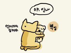 나무늘보처럼 잔다