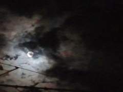 겨우 이 정도였어요