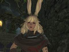 [뮤릴에게 제비꽃을]