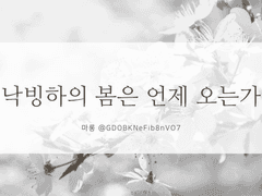 [빙하청추] 낙빙하의 봄은 언제 오는가