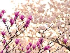 [앵유] 내일 더 잘 지낼게요