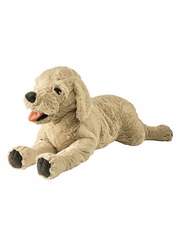 너에게 정원을 바친다