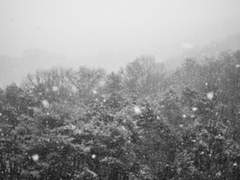 행크코너 설산(雪山)의 꿈