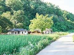 [유진혜준] 리틀포레스트 #4