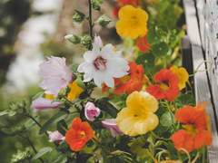 [황제로드요한] 미래는 당신의 손에 있다