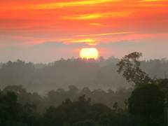 짐 존스의 인민사원 신도, 리처드 트로프의 마지막 편지 한글번역