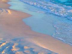 제목은 모르겠어요