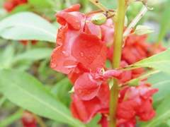 [정원준완]受取人不明