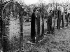 [불멸의 날들] 당신의 장례식