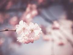 널 만난 후로 나에겐