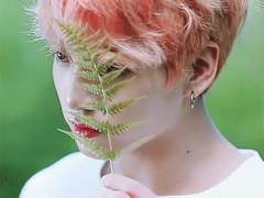 [뷔국] 나의 붉은 꽃에게.