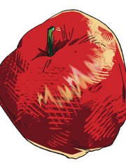 커뮤- 동이 트기 전까지