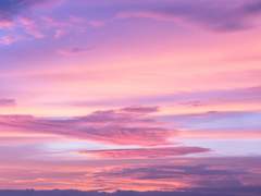 아이야, 내 아이야.