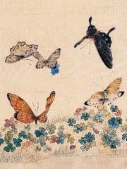 귀월호담(鬼月蝴談)