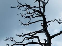 21. 스파르타 전사와 노예