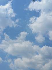 휘황찬란, 파란만장!