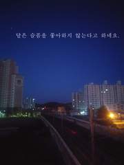 달은 슬픔을 좋아하지 않는다고 하네요. (완결)