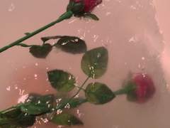 아이작 R. 하르트만 ❥ 하트 잭