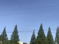 너에게 남기는 편지