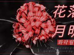 花落憐不掃月明愛無眠 (화락연불소월명애무면)