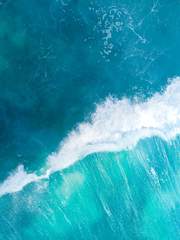 페트리코( petrichor)