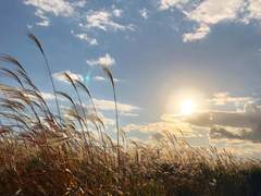 소생(rebirth) 후기