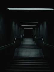 드림주 설정 시리즈