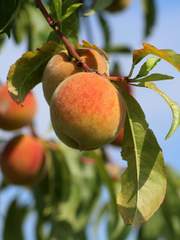 원래 그런 사람이었을 것이다