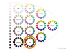 전현무 퍼스널 컬러 분석