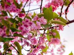 인아주연 100일 축하합니다! (❛ε ❛)♫♪