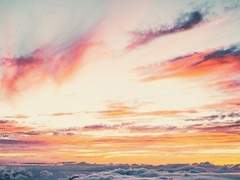 야미진 / 太陽の相棒