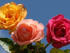 ️열분들 저 블로그 팠어용️