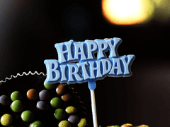 자캐의 생일 목록