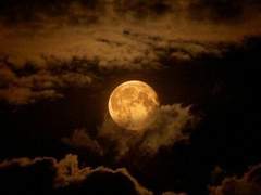 [Hanni.Jin] Unexpected