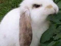 하루만 작업 쉬어갑니다