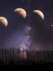 [해리포터] DARIA PRINCE